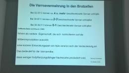 Re: Brutraum dämmen 