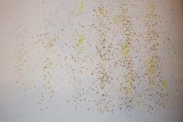Re: Bienenwohl träufeln