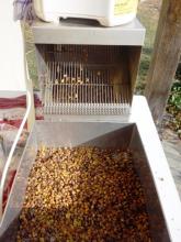 Re: Bienenbrot ernten