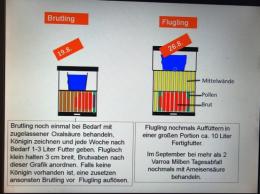 Re: Varroa Behandlung ohne Ameisensäure 