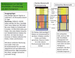 Re: Gedanken zu Angepasstem Brutraum