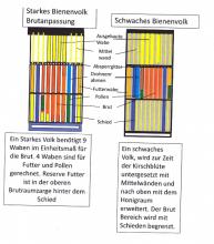 Re: Gedanken zu Angepasstem Brutraum
