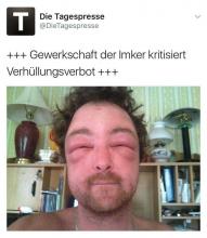 Verhüllungsverbot