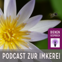 "Bienengespräche" - als Radiosendung im Netz gestartet