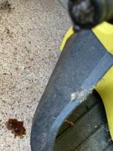 Bienen im Kärcher?