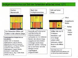 Frühjahrsnachschau zur Zeit der Salweidenblüte