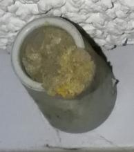 Biene auf Terrasse 