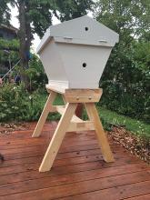 Top Bar Hive sucht Bienenvolk