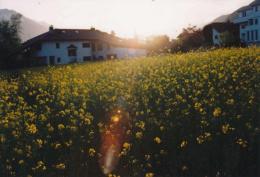 Abschied im Imkerleben
