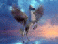 Bild von pegasus