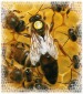 Bild von bion