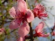 Bild von Price46