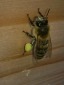 Bild von Natural