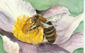 Bild von herri